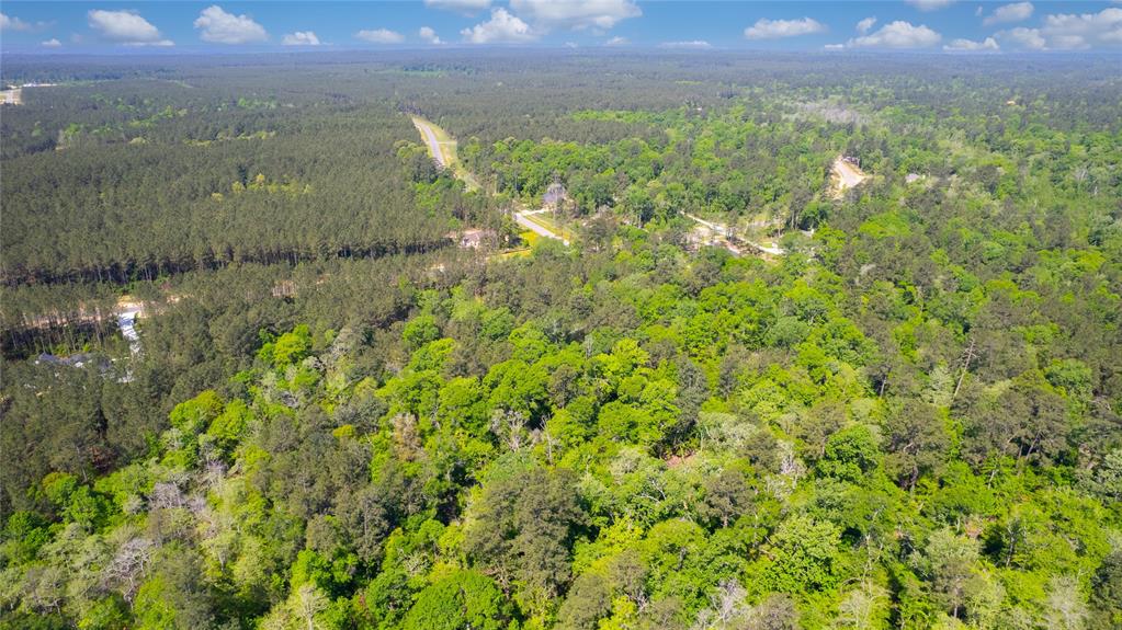 12868 Oak Barrel Road, Willis, Texas image 3