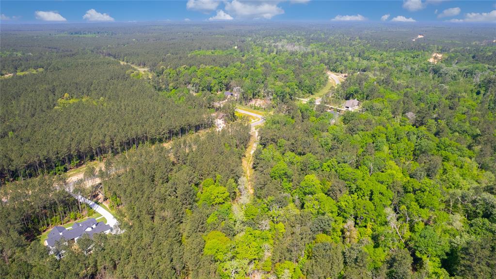 12868 Oak Barrel Road, Willis, Texas image 30