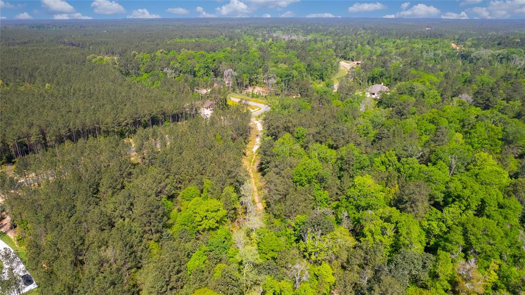 12868 Oak Barrel Road, Willis, Texas image 31