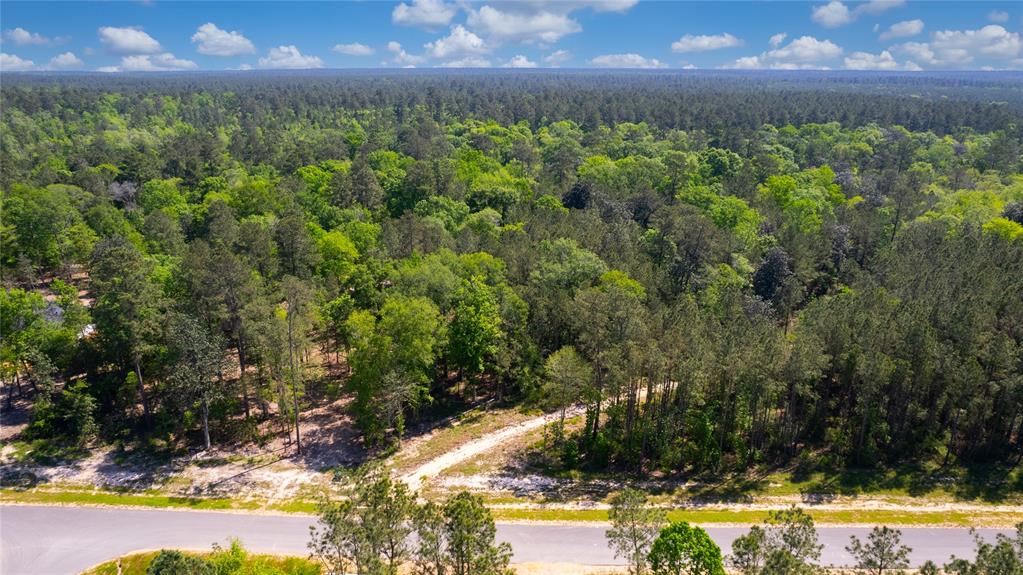 12868 Oak Barrel Road, Willis, Texas image 16