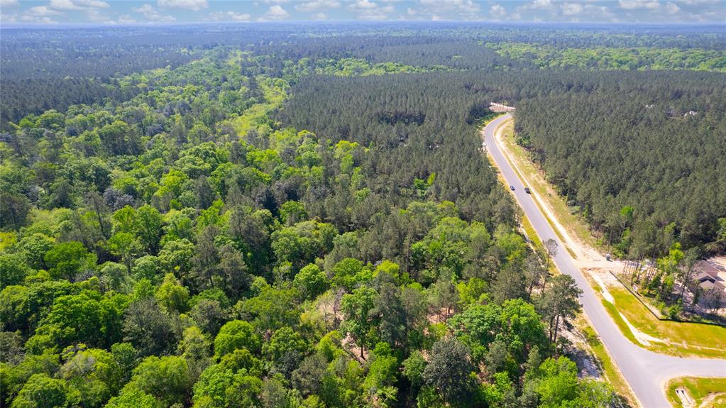 12868 Oak Barrel Road, Willis, Texas image 10