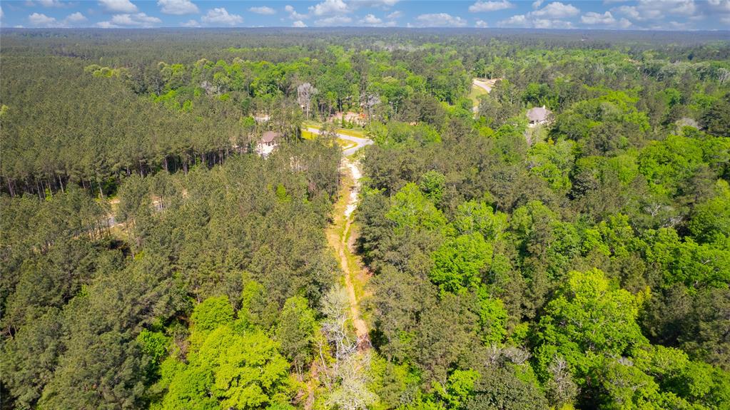12868 Oak Barrel Road, Willis, Texas image 32