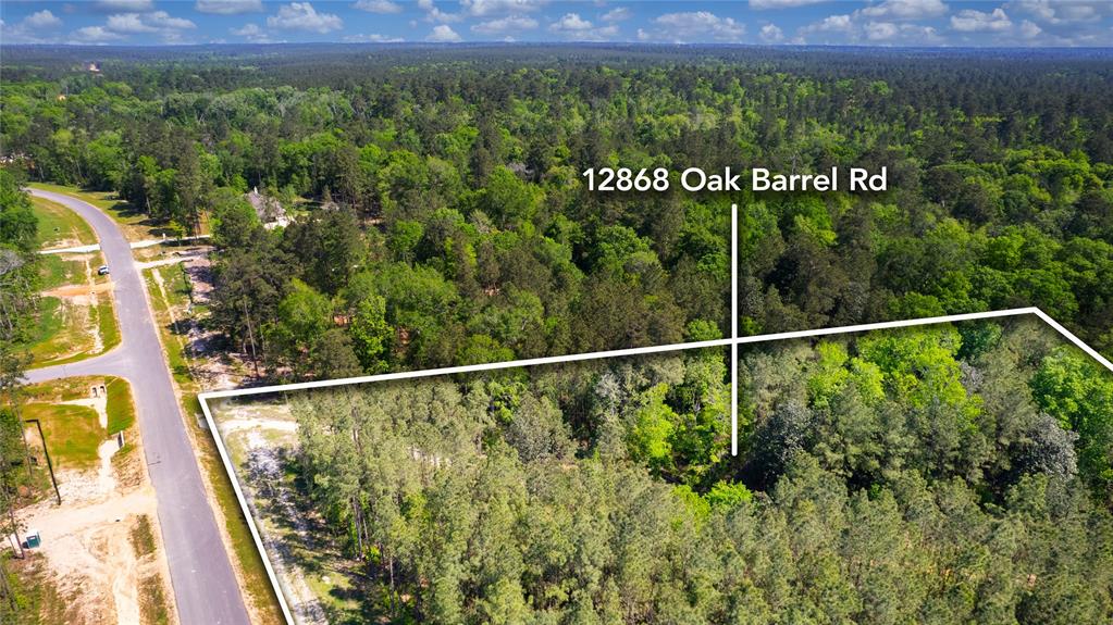 12868 Oak Barrel Road, Willis, Texas image 28