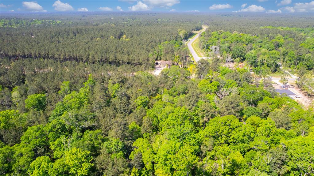 12868 Oak Barrel Road, Willis, Texas image 4