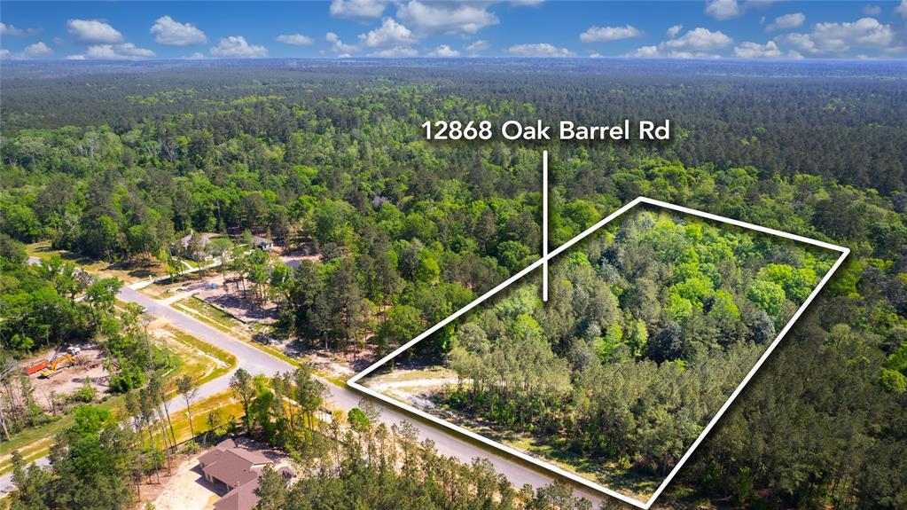 12868 Oak Barrel Road, Willis, Texas image 20