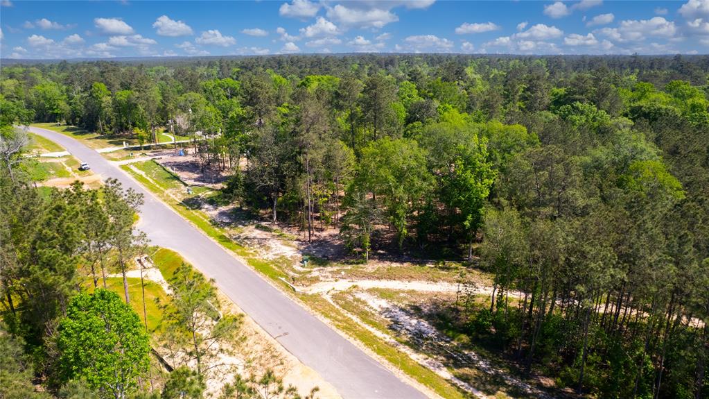 12868 Oak Barrel Road, Willis, Texas image 23