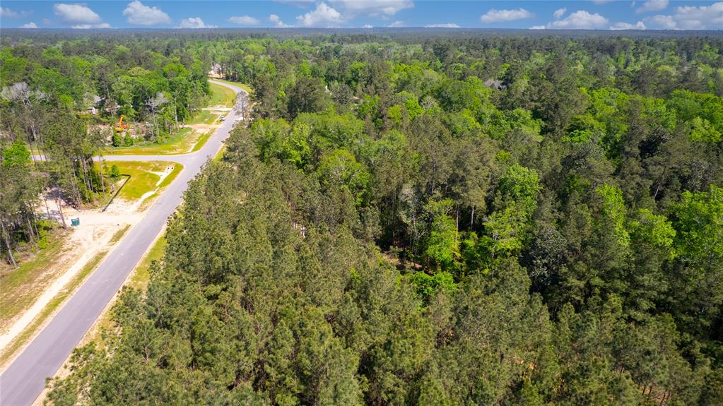 12868 Oak Barrel Road, Willis, Texas image 26
