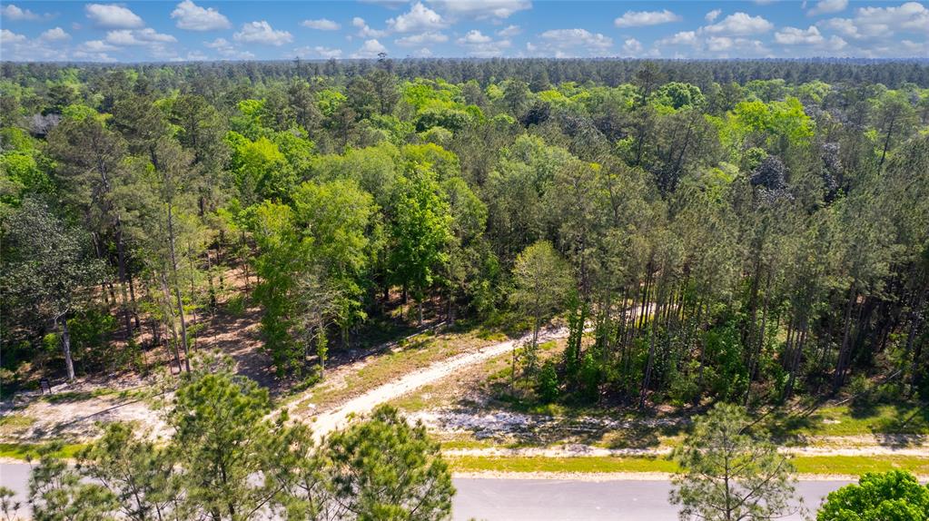 12868 Oak Barrel Road, Willis, Texas image 17