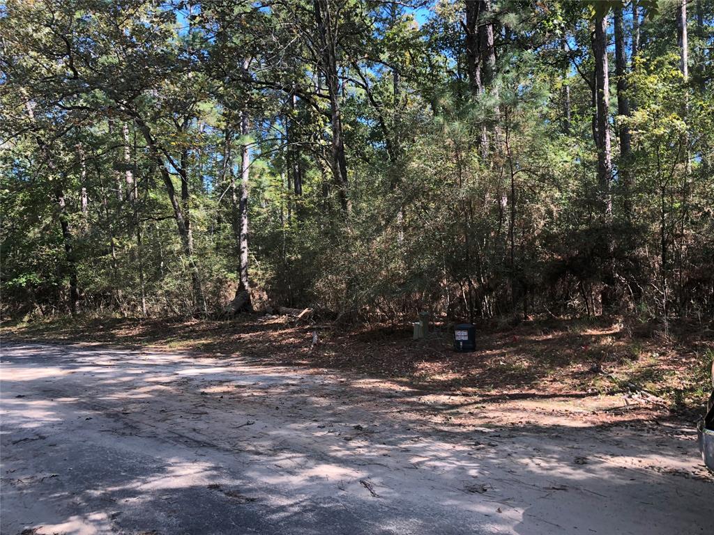 Lot 9 Rohm Place, Huntsville, Texas image 4