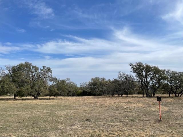 2078 W Ranch Road 962 Lot 18, Round Mountain, Texas image 7