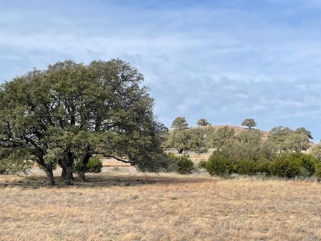 2078 W Ranch Road 962 Lot 18, Round Mountain, Texas image 8