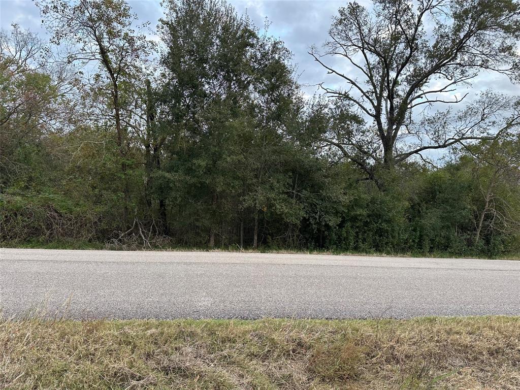 7236 County Road 3, Sweeny, Texas image 9