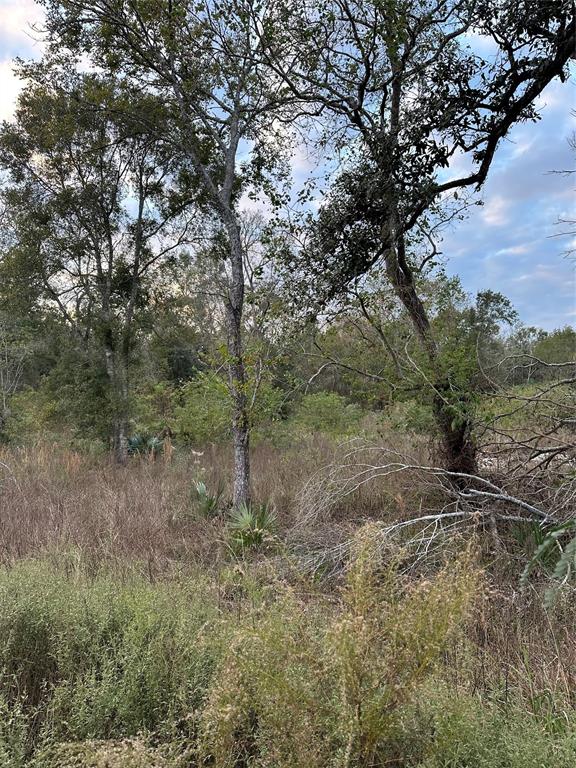 7236 County Road 3, Sweeny, Texas image 11