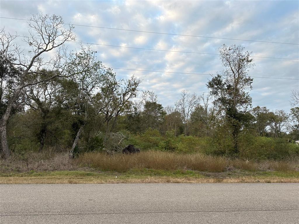 7236 County Road 3, Sweeny, Texas image 13