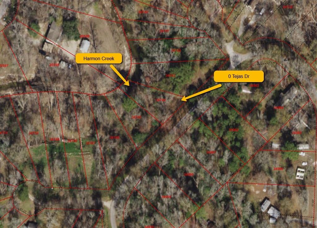 Tejas Drive, Huntsville, Texas image 3