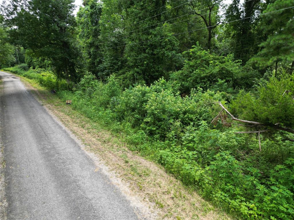 Tejas Drive, Huntsville, Texas image 5