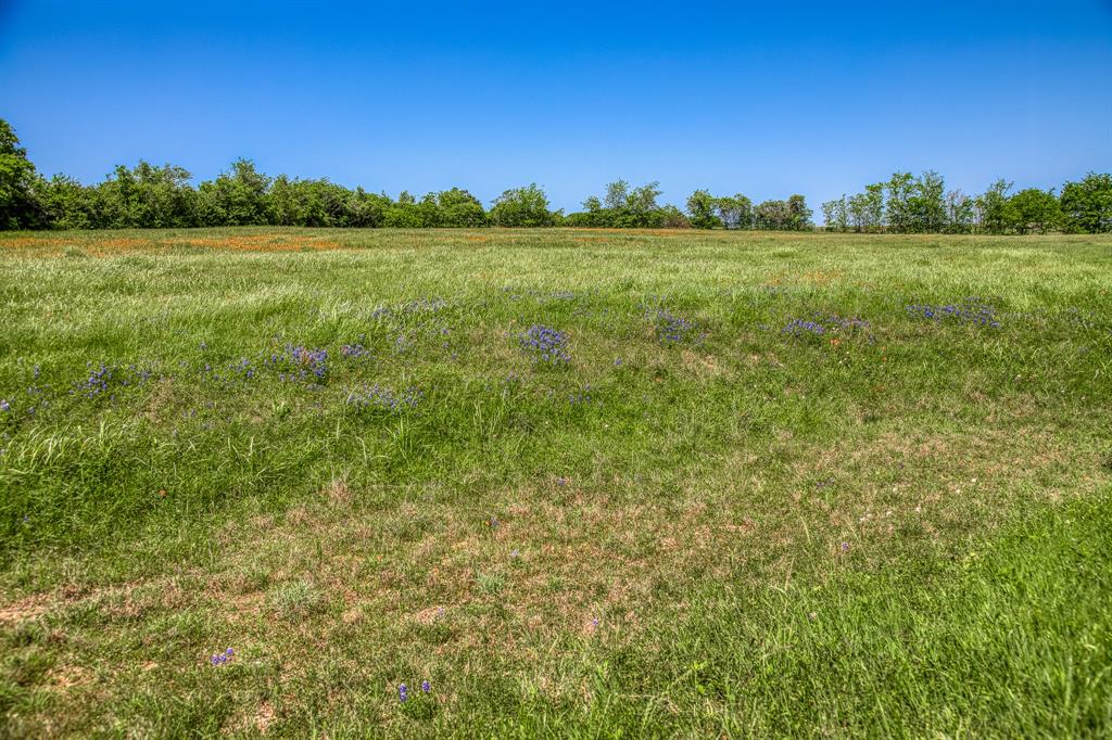 TBD Tegeler Road, Brenham, Texas image 16