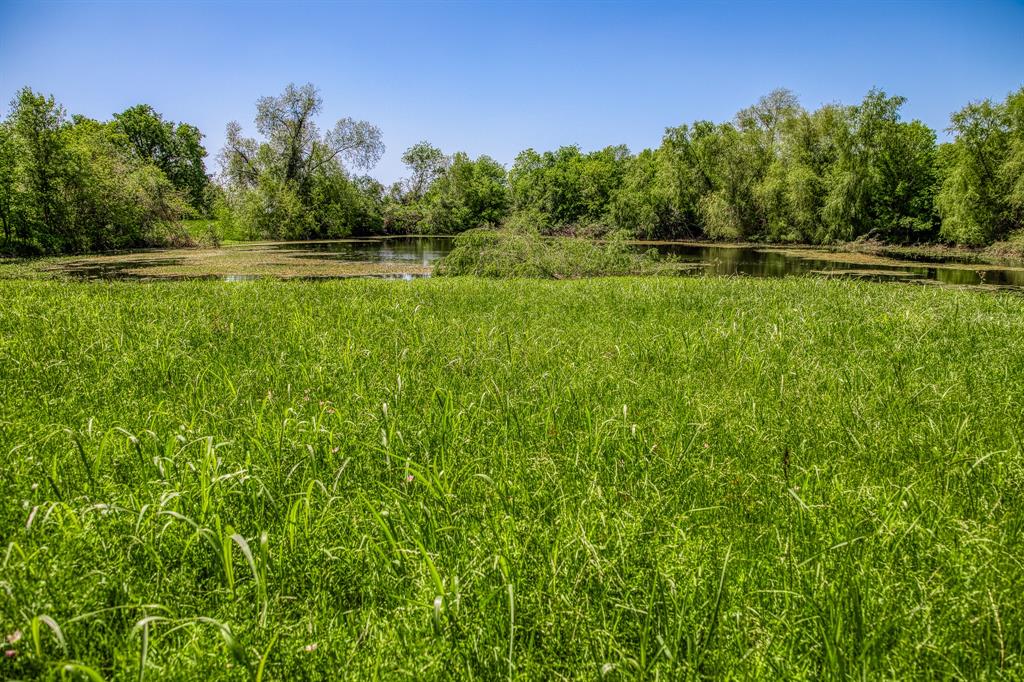 TBD Tegeler Road, Brenham, Texas image 10