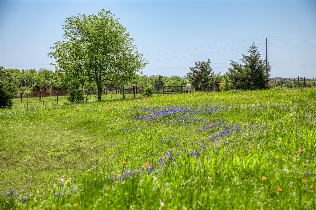 TBD Tegeler Road, Brenham, Texas image 19