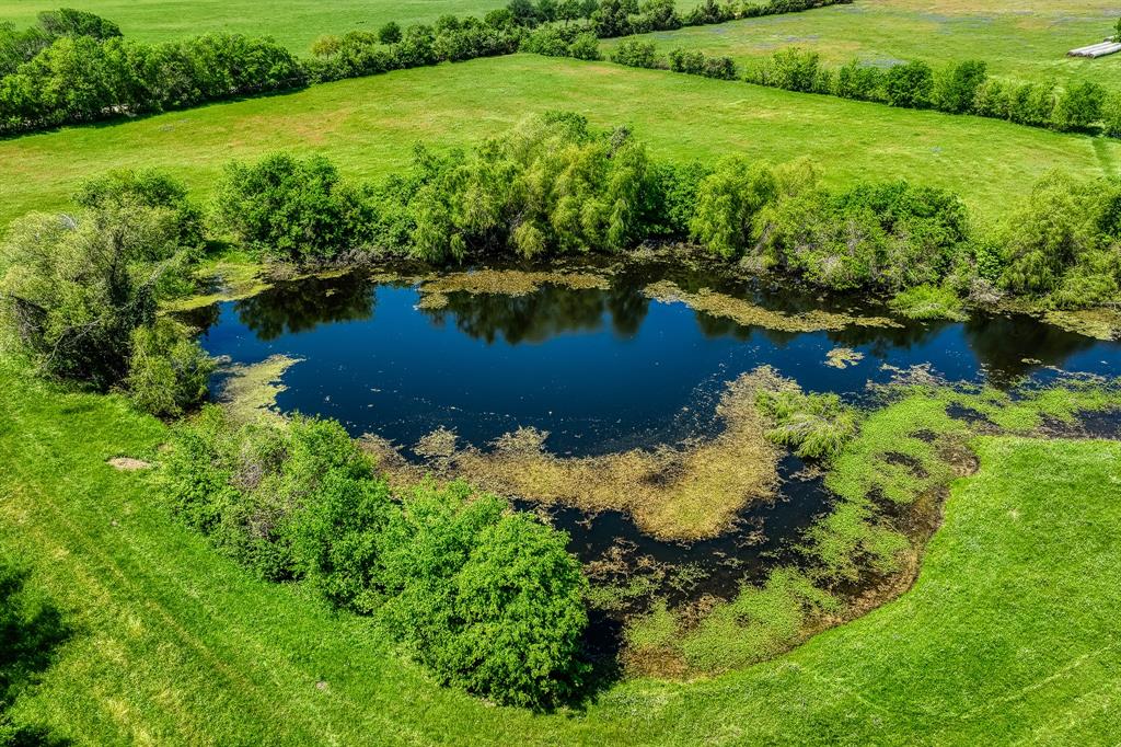 TBD Tegeler Road, Brenham, Texas image 40