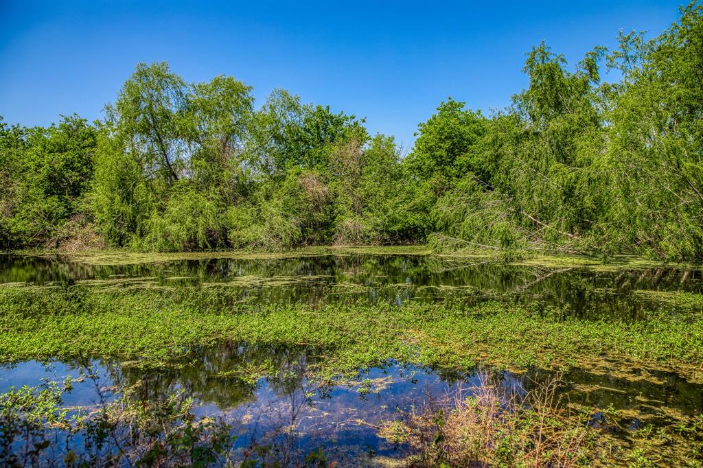 TBD Tegeler Road, Brenham, Texas image 8