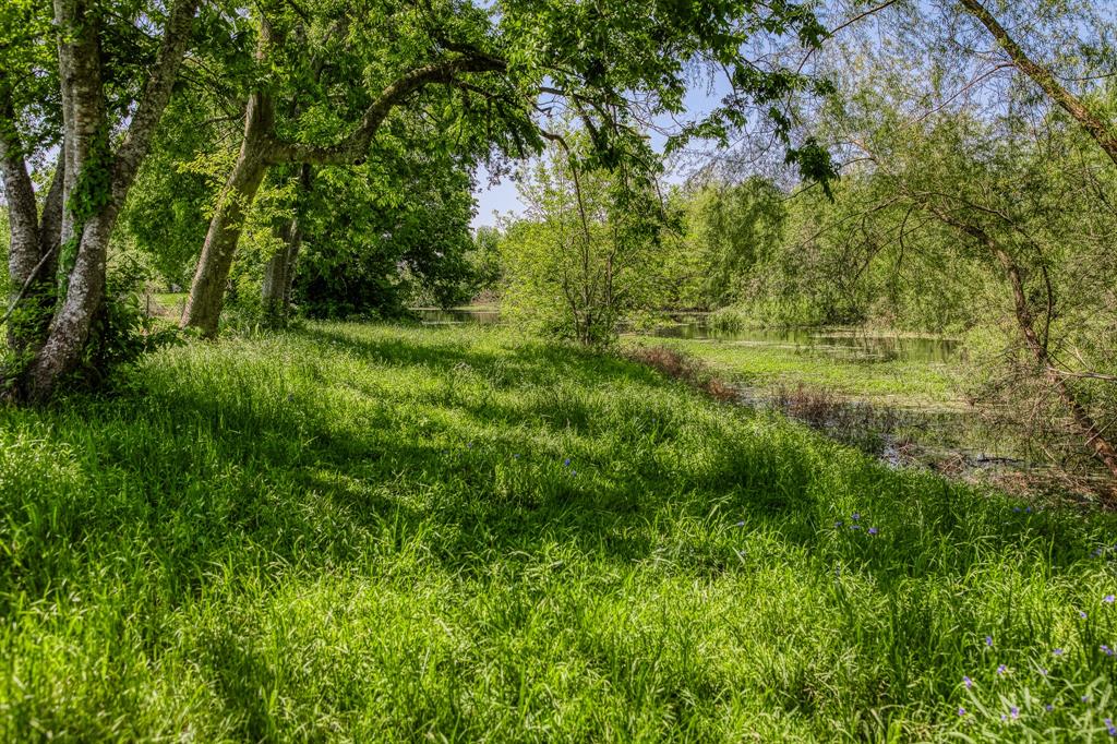 TBD Tegeler Road, Brenham, Texas image 7