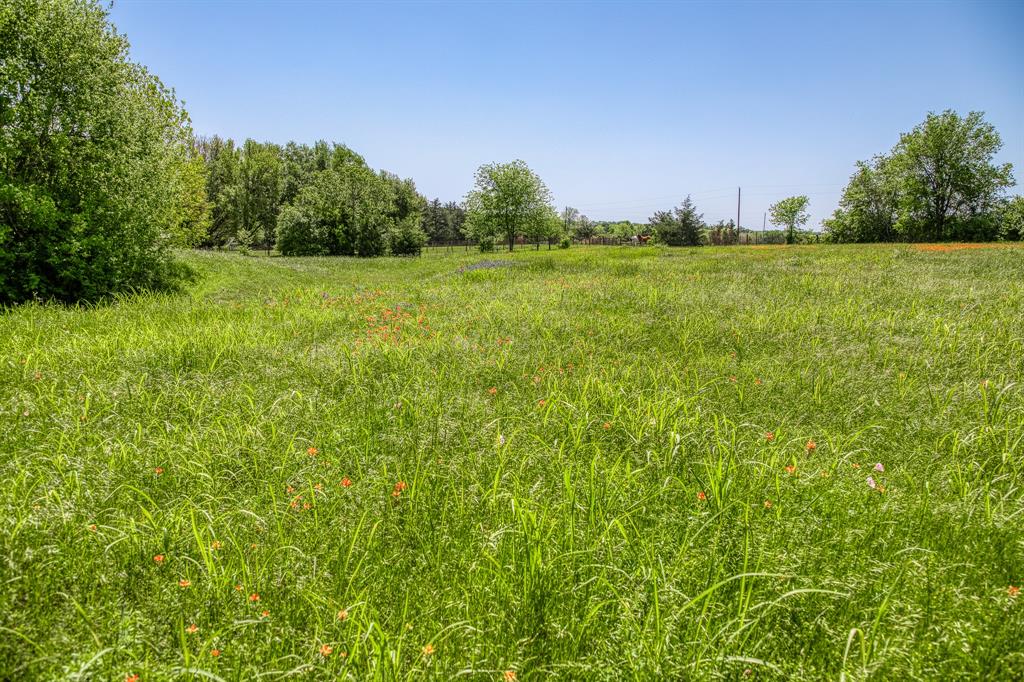 TBD Tegeler Road, Brenham, Texas image 21
