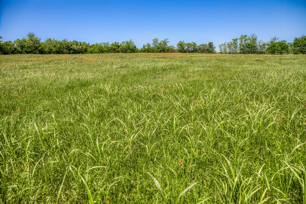 TBD Tegeler Road, Brenham, Texas image 20