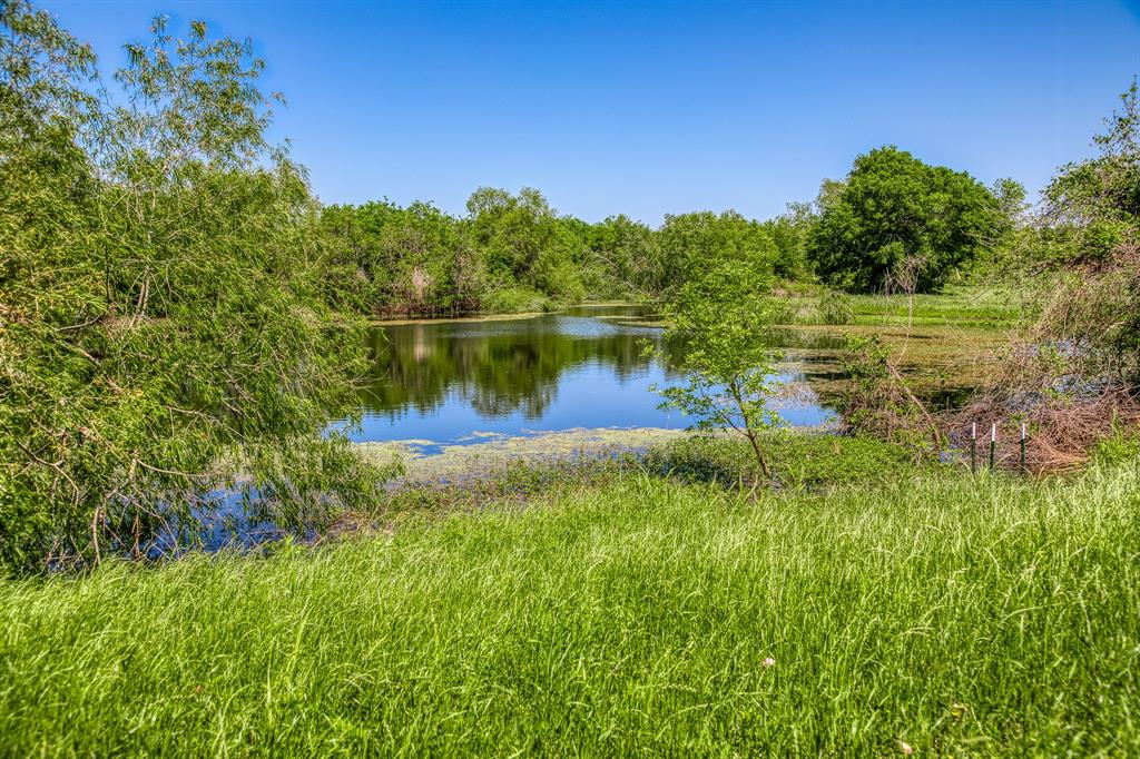 TBD Tegeler Road, Brenham, Texas image 14
