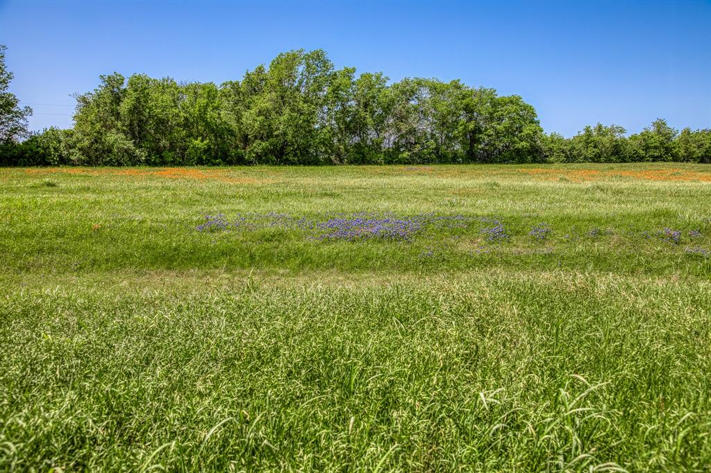 TBD Tegeler Road, Brenham, Texas image 15