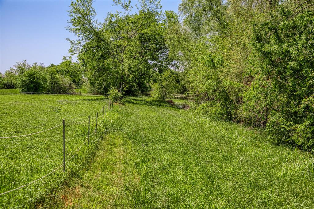 TBD Tegeler Road, Brenham, Texas image 5