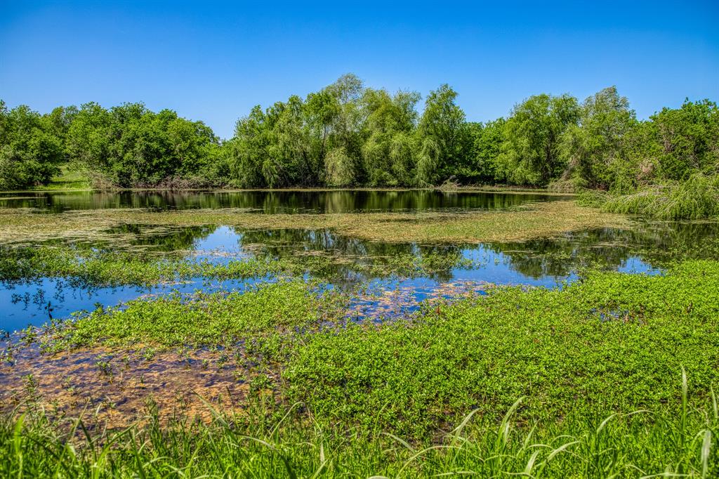 TBD Tegeler Road, Brenham, Texas image 3