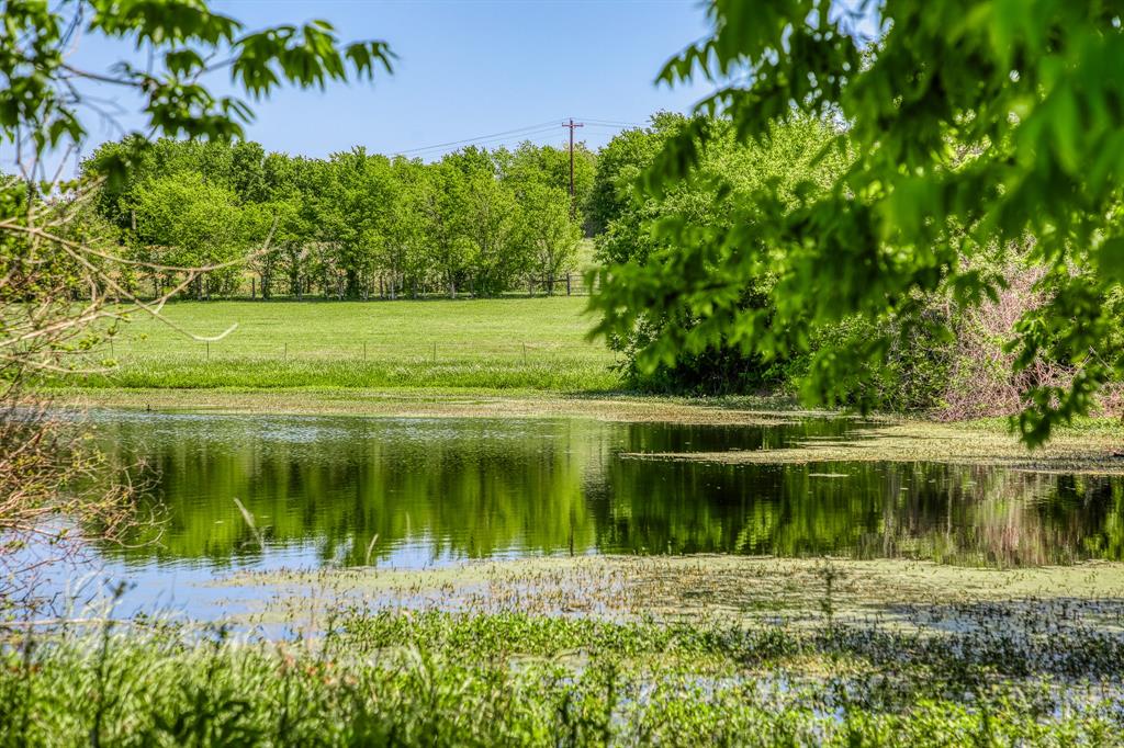 TBD Tegeler Road, Brenham, Texas image 22