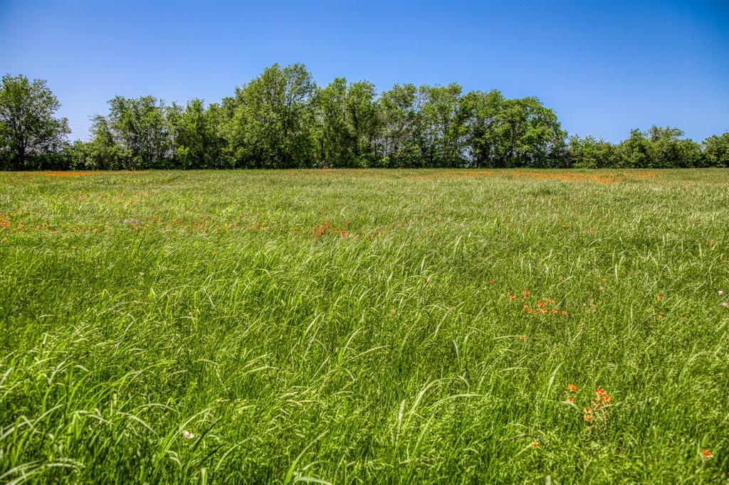 TBD Tegeler Road, Brenham, Texas image 18