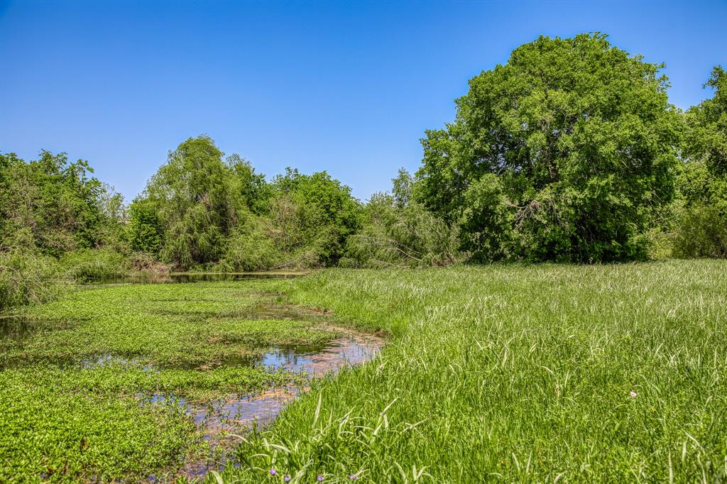 TBD Tegeler Road, Brenham, Texas image 11
