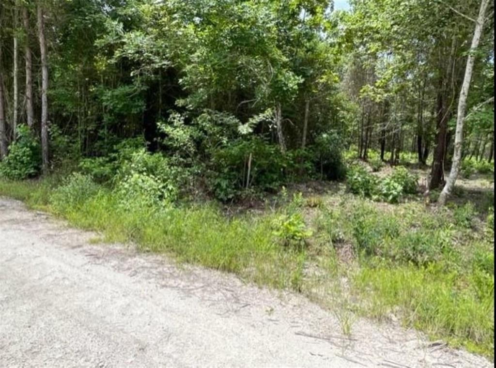 00 Lake Nacogdoches Ranch, Douglass, Texas image 13