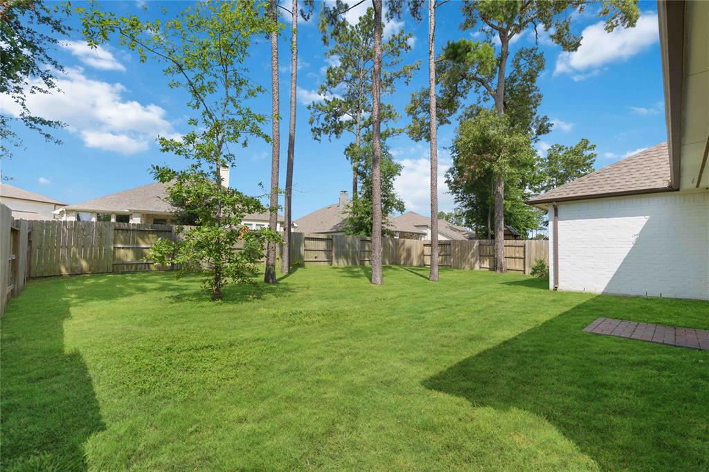17464 Chestnut Cove Drive, Conroe, Texas image 30