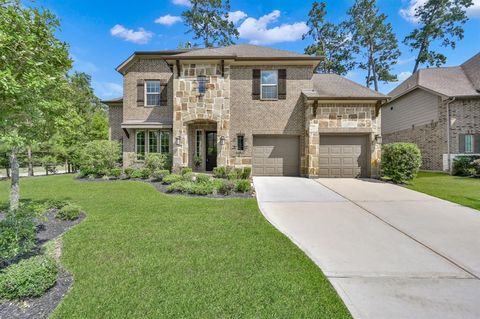 503 Woodsy Pine Court Conroe TX 77304