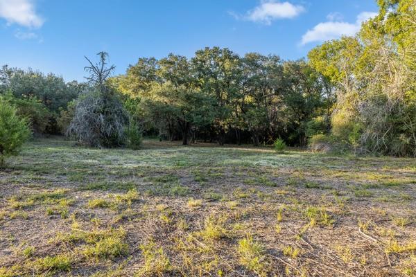 TBD Wendy Lane - Lot 16, Round Top, Texas image 4