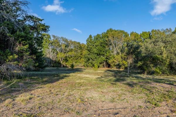 TBD Wendy Lane - Lot 16, Round Top, Texas image 3