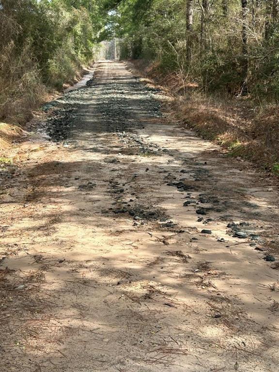 TRACT 4 Lloyd Walker Road, Huntington, Texas image 8