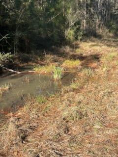 TRACT 4 Lloyd Walker Road, Huntington, Texas image 18