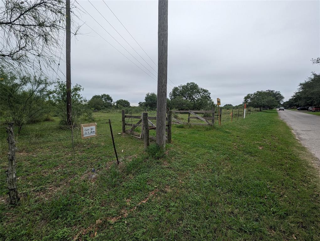 Lot 30 State Highway 281, Premont, Texas image 4