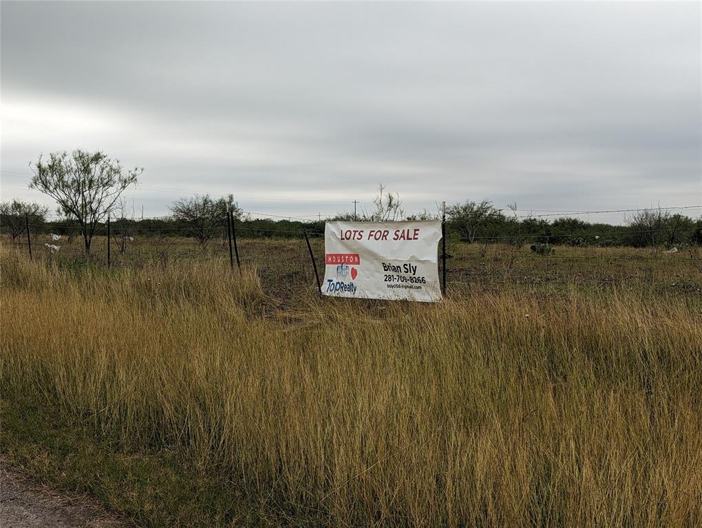 Lot 30 State Highway 281, Premont, Texas image 10