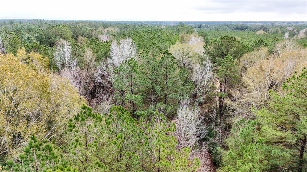 1 TBD County Road 3064, Kirbyville, Texas image 26