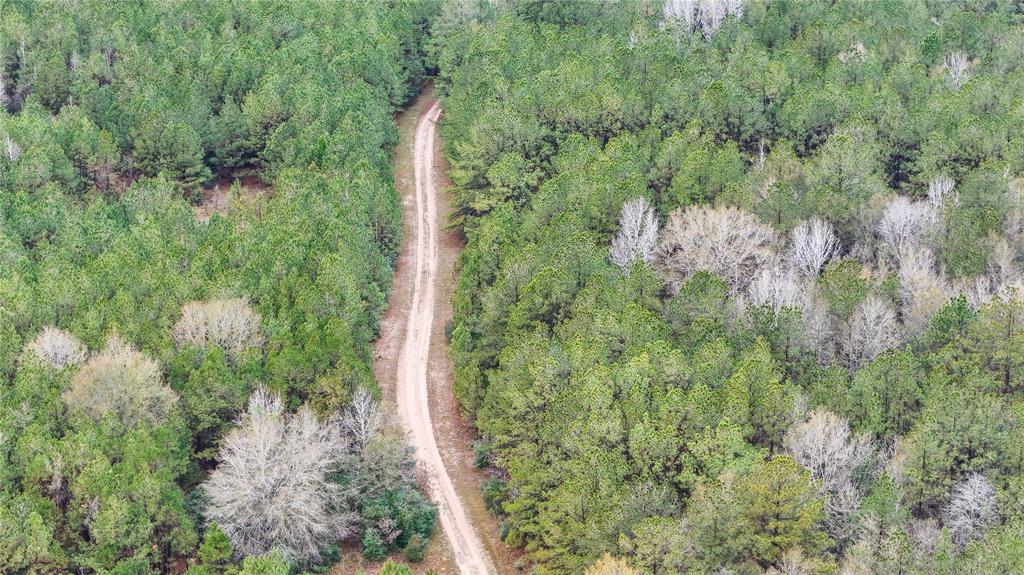 1 TBD County Road 3064, Kirbyville, Texas image 28