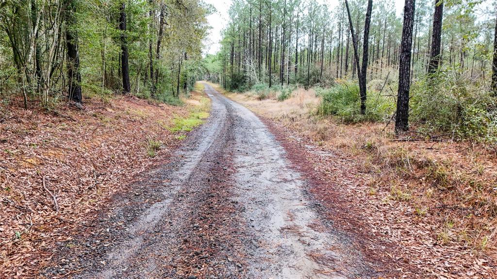 1 TBD County Road 3064, Kirbyville, Texas image 29