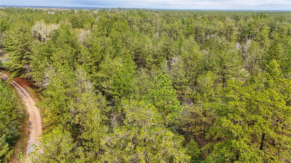 1 TBD County Road 3064, Kirbyville, Texas image 22