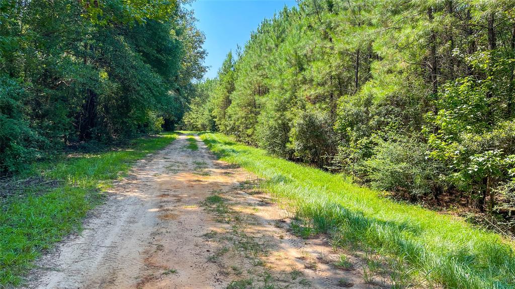 1 TBD County Road 3064, Kirbyville, Texas image 20