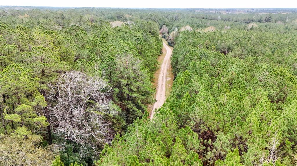 1 TBD County Road 3064, Kirbyville, Texas image 27